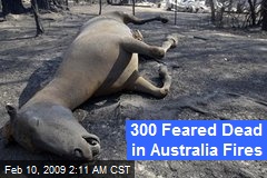 300 Feared Dead in Australia Fires