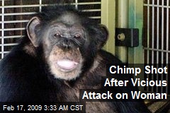 Chimp Shot After Vicious Attack on Woman