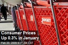 Consumer Prices Up 0.3% in January