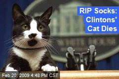 RIP Socks: Clintons' Cat Dies