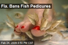 Fla. Bans Fish Pedicures