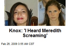 Knox: 'I Heard Meredith Screaming'