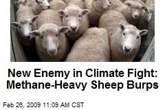 New Enemy in Climate Fight: Methane-Heavy Sheep Burps