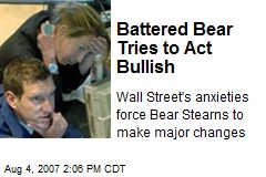 Battered Bear Tries to Act Bullish