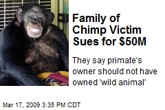 Family of Chimp Victim Sues for $50M