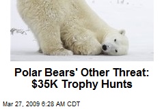 Polar Bears' Other Threat: $35K Trophy Hunts