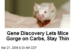 Gene Discovery Lets Mice Gorge on Carbs, Stay Thin