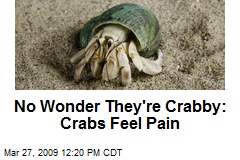 No Wonder They're Crabby: Crabs Feel Pain