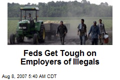 Feds Get Tough on Employers of Illegals