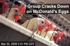 Group Cracks Down on McDonald's Eggs