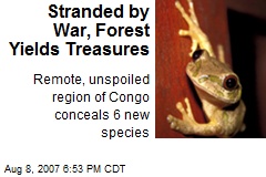 Stranded by War, Forest Yields Treasures
