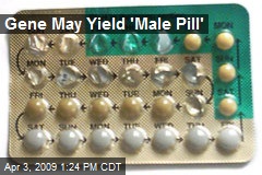 Gene May Yield 'Male Pill'