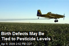 Birth Defects May Be Tied to Pesticide Levels