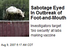 Sabotage Eyed In Outbreak of Foot-and-Mouth