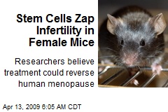 Stem Cells Zap Infertility in Female Mice