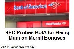 SEC Probes BofA for Being Mum on Merrill Bonuses