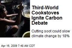 Third-World Cookstoves Ignite Carbon Debate