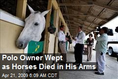 Polo Owner Wept as Horses Died in His Arms