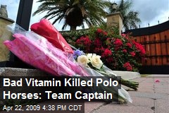 Bad Vitamin Killed Polo Horses: Team Captain