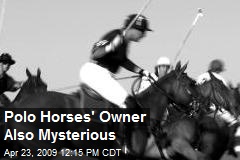 Polo Horses' Owner Also Mysterious