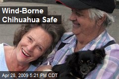 Wind-Borne Chihuahua Safe