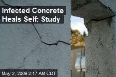 Infected Concrete Heals Self: Study