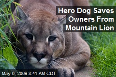 Hero Dog Saves Owners From Mountain Lion