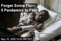 Forget Swine Flu&mdash; 5 Pandemics to Fear