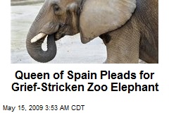 Queen of Spain Pleads for Grief-Stricken Zoo Elephant