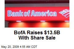 BofA Raises $13.5B With Share Sale