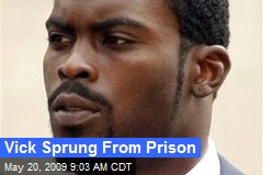 Vick Sprung From Prison