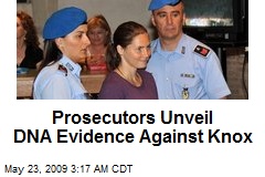 Prosecutors Unveil DNA Evidence Against Knox