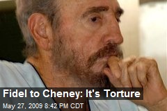 Fidel to Cheney: It's Torture