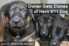 Owner Gets Clones of Hero 9/11 Dog