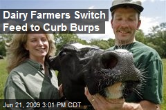Dairy Farmers Switch Feed to Curb Burps