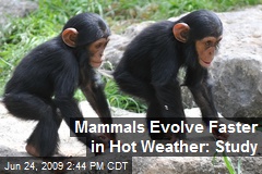 Mammals Evolve Faster in Hot Weather: Study