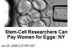 Stem-Cell Researchers Can Pay Women for Eggs: NY