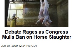 Debate Rages as Congress Mulls Ban on Horse Slaughter