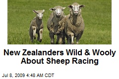 New Zealanders Wild &amp; Wooly About Sheep Racing