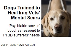 Dogs Trained to Heal Iraq Vets' Mental Scars