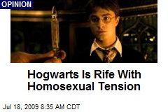 Hogwarts Is Rife With Homosexual Tension