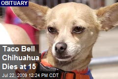 Taco Bell Chihuahua Dies at 15