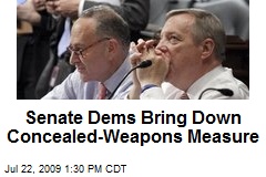 Senate Dems Bring Down Concealed-Weapons Measure