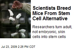Scientists Breed Mice From Stem Cell Alternative
