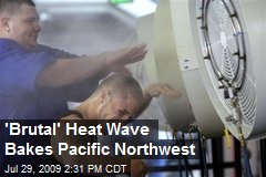 'Brutal' Heat Wave Bakes Pacific Northwest