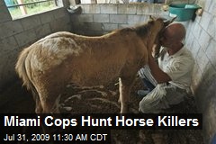 Miami Cops Hunt Horse Killers
