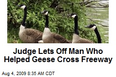 Judge Lets Off Man Who Helped Geese Cross Freeway