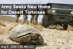 Army Seeks New Home for Desert Tortoises