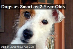 Dogs as Smart as 2-Year-Olds