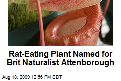 Rat-Eating Plant Named for Brit Naturalist Attenborough